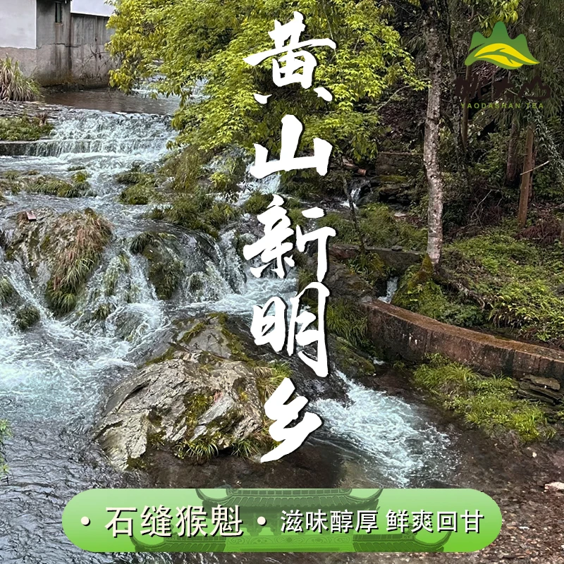 【姚大山】2025新茶 石缝猴魁100g 特级绿茶 茶叶