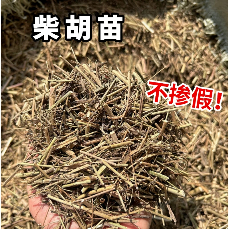 【柴胡苗】龙胆草柴胡苗中药材500g包邮泡水煲茶不掺假新鲜采摘