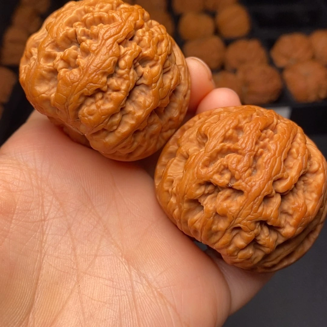 秦岭野生文玩核桃