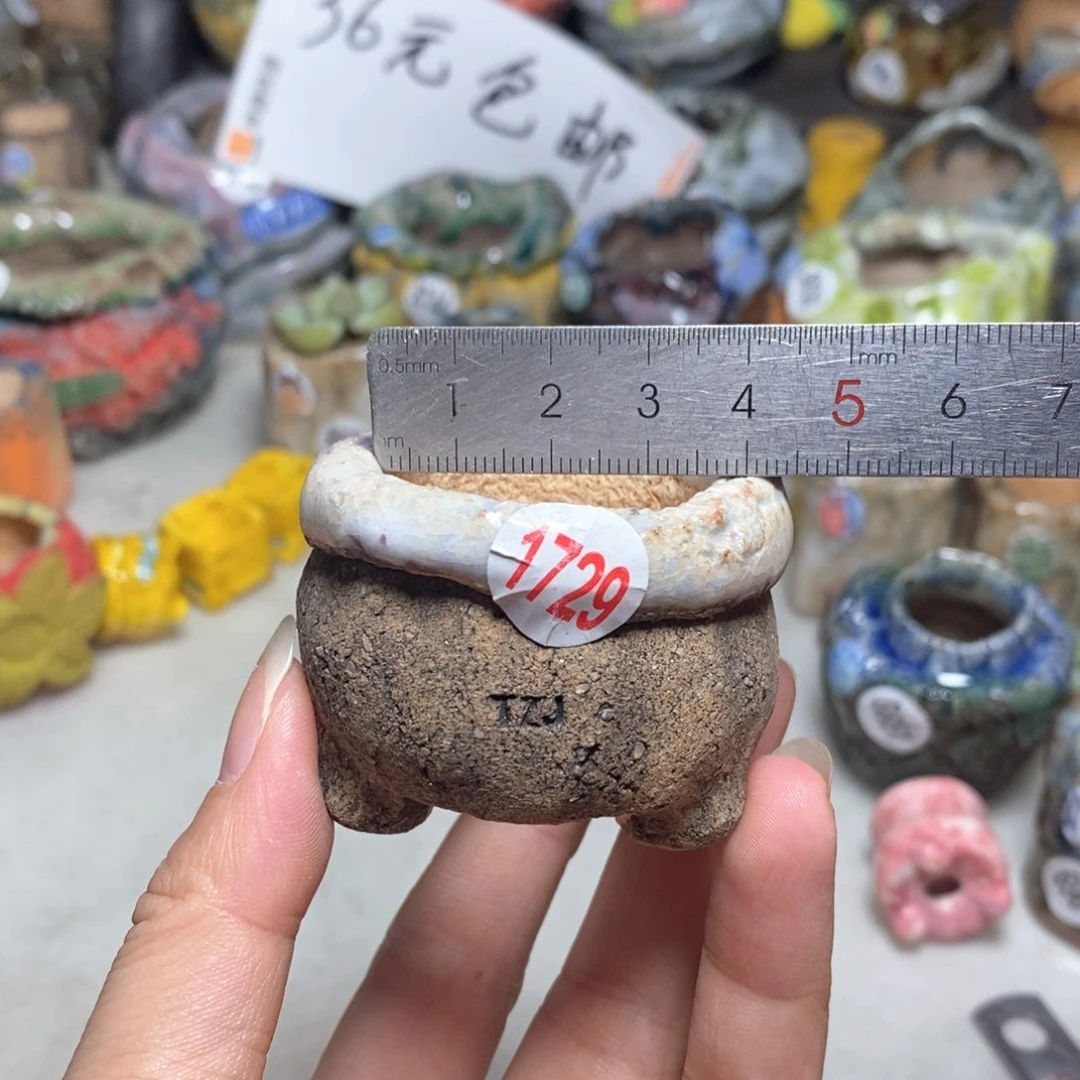 拍3送一个小礼物