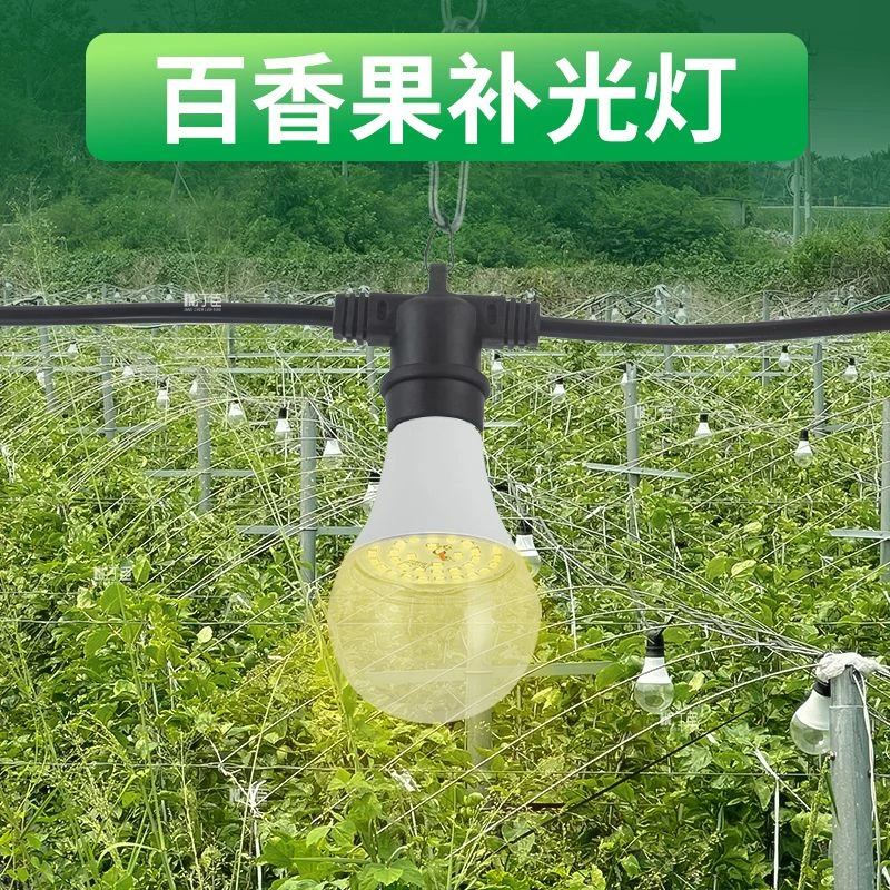 百香果补光灯仿太阳全光谱促进生长调节花期植物补光灯植物补光灯