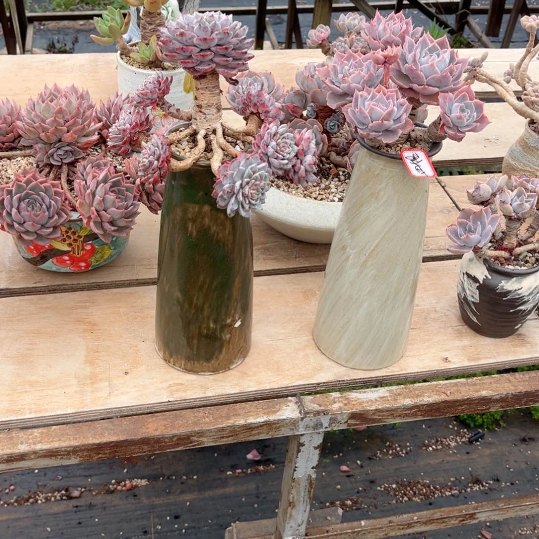花茶i哈老桩是一定会议中心线下次