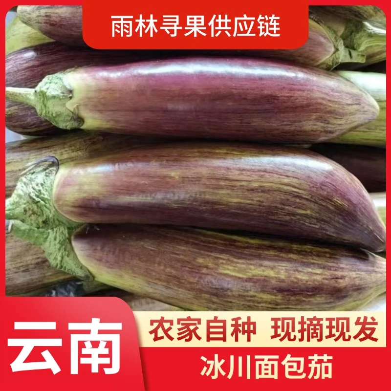 老品种面包茄云南冰川茄子东北烧烤茄糯茄竹丝茄花茄新鲜露天蔬菜
