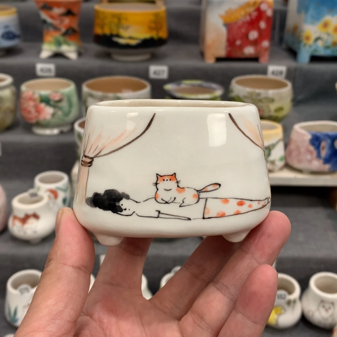 罐年前最2场直播特惠活动