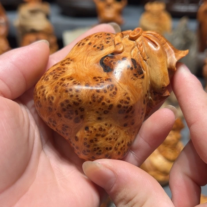 柏木（崖柏）点点关注