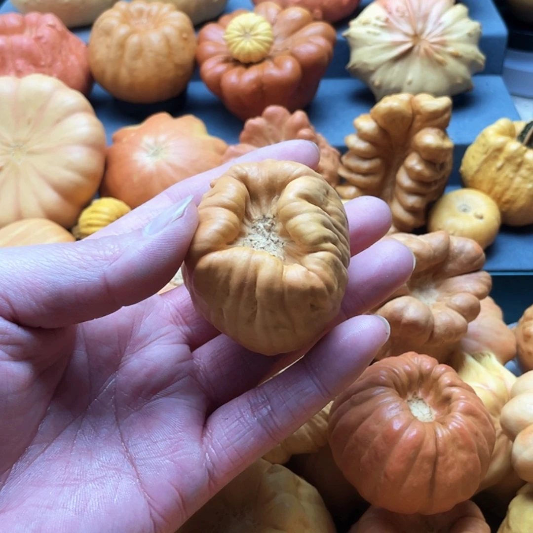 哎***嗨墨西哥葫芦异一行口