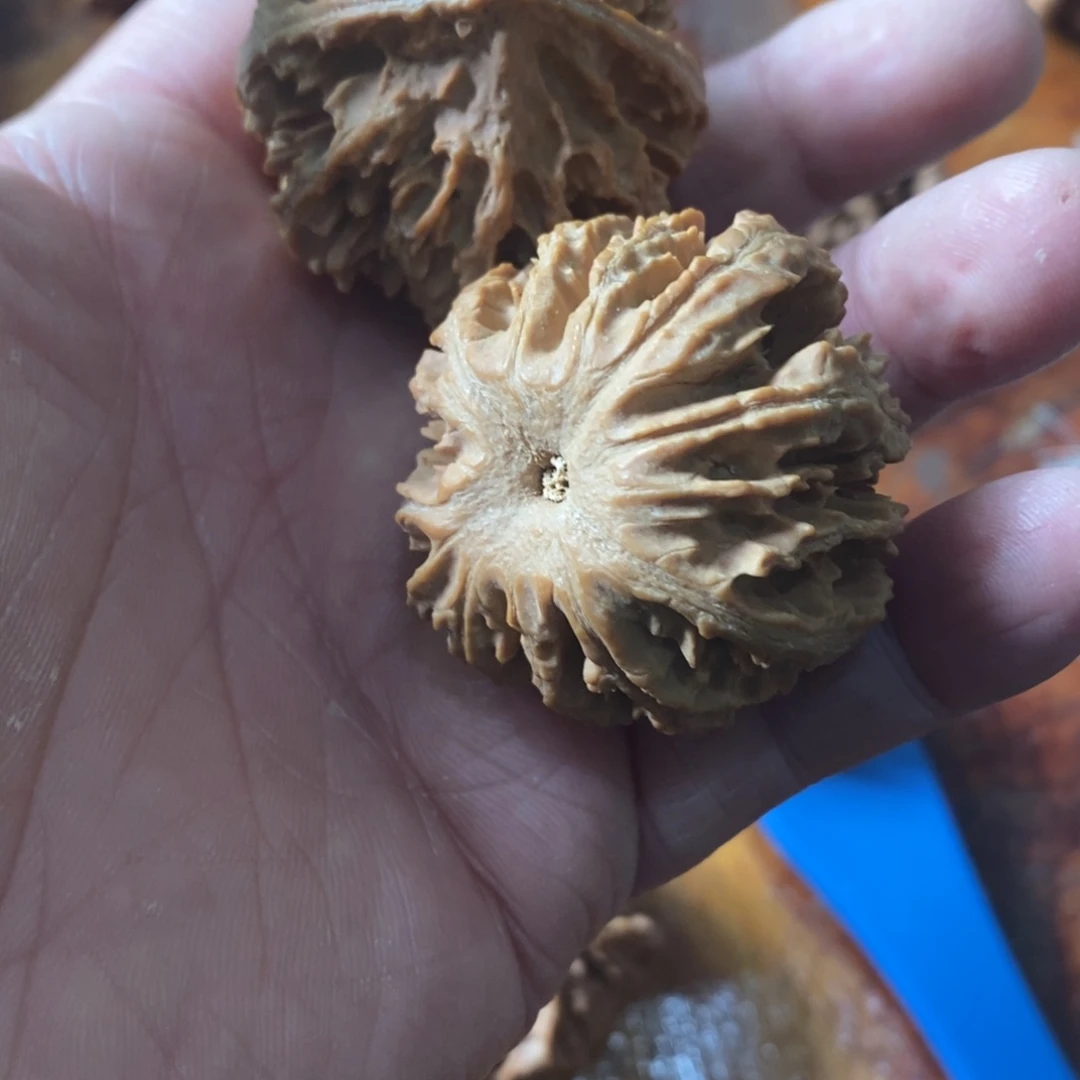 踏****m秦岭南侧与黄河北岸之间