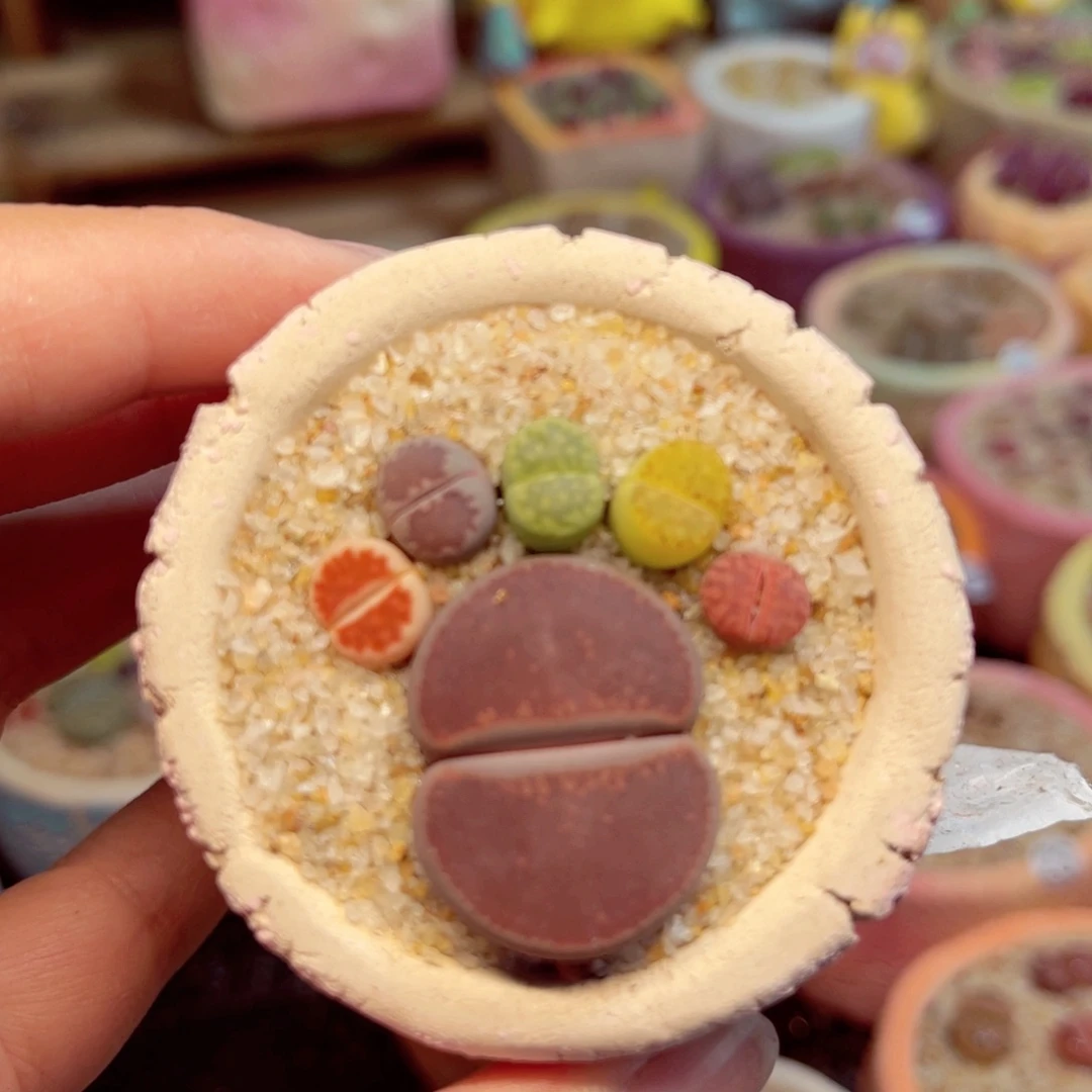 279. 6666666667666666666