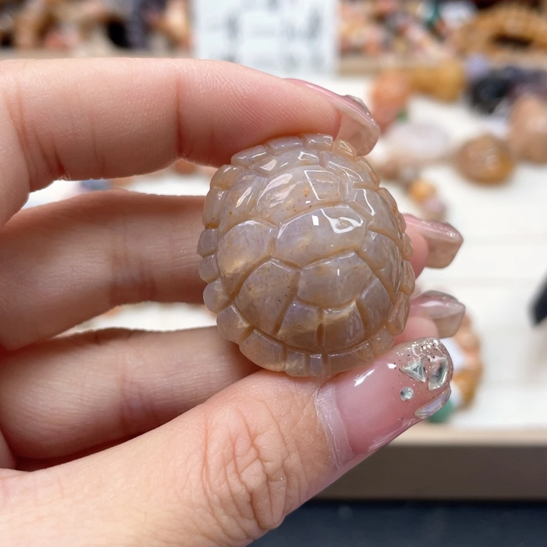 未镶嵌手链硅化珊瑚（珊瑚玉）莫****选231
