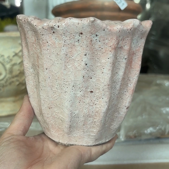 许纯的花房 花瓣 粉色