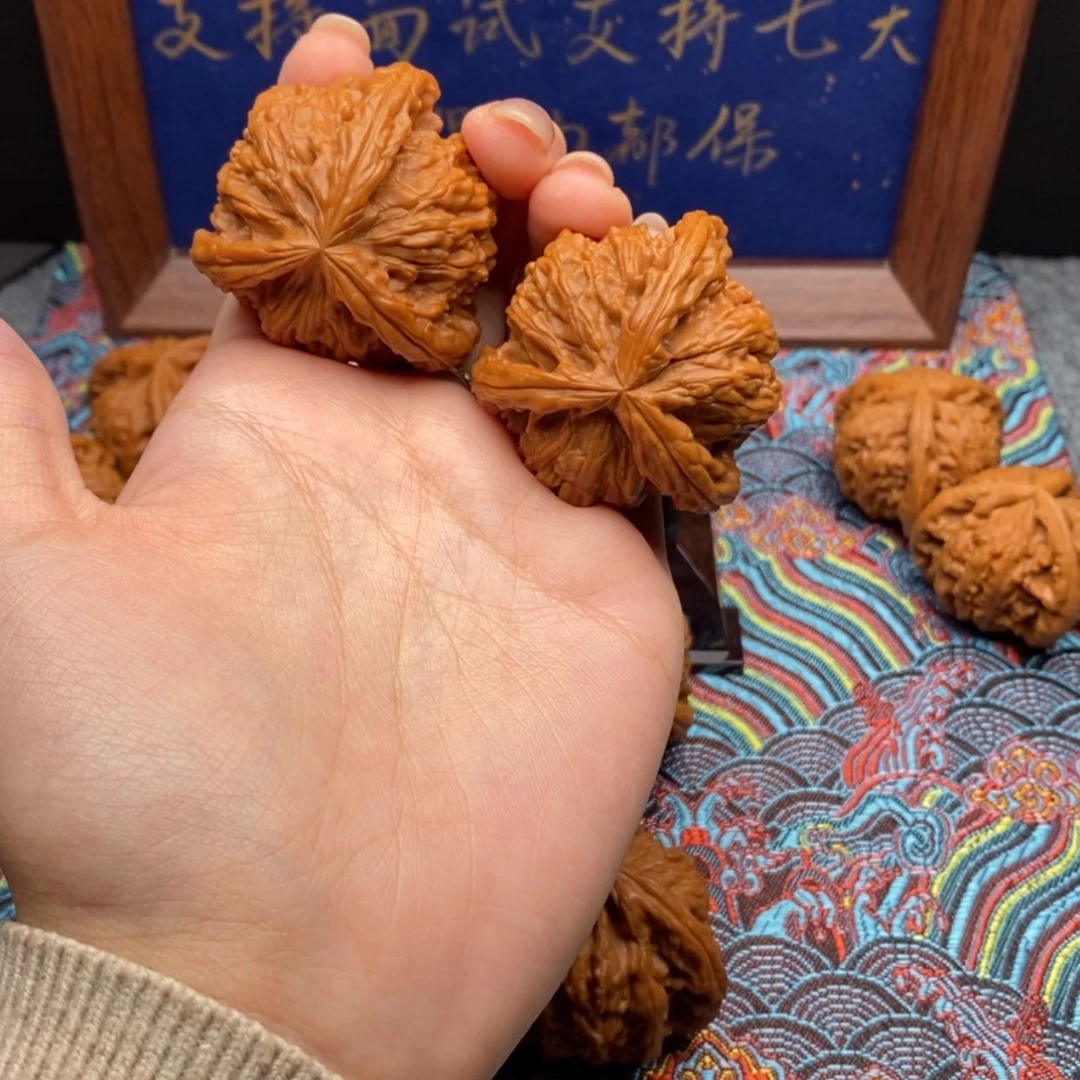 【闪购商品】深**士白狮