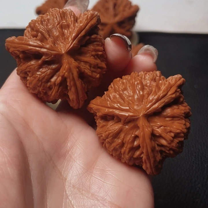 茂**艺核桃核桃核桃