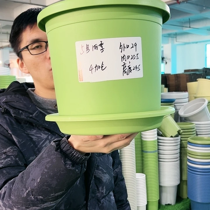 特价5号四季口29高24.5果绿带托6只