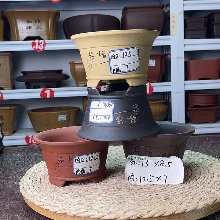 花盆紫砂你在一起