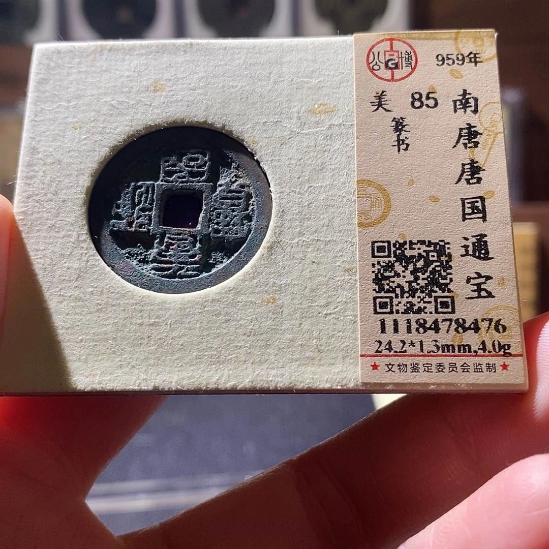 贝壳1 恭喜发财恭喜发财