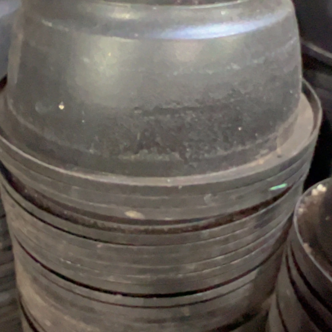 磨砂韩盆22口径10高 5个