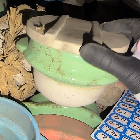 瓷片国营厂库存12厘米