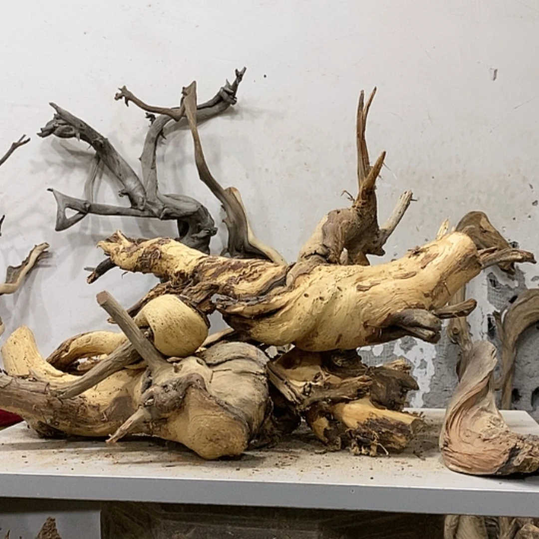 【闪购商品】柏木?****?我们都是好孩子