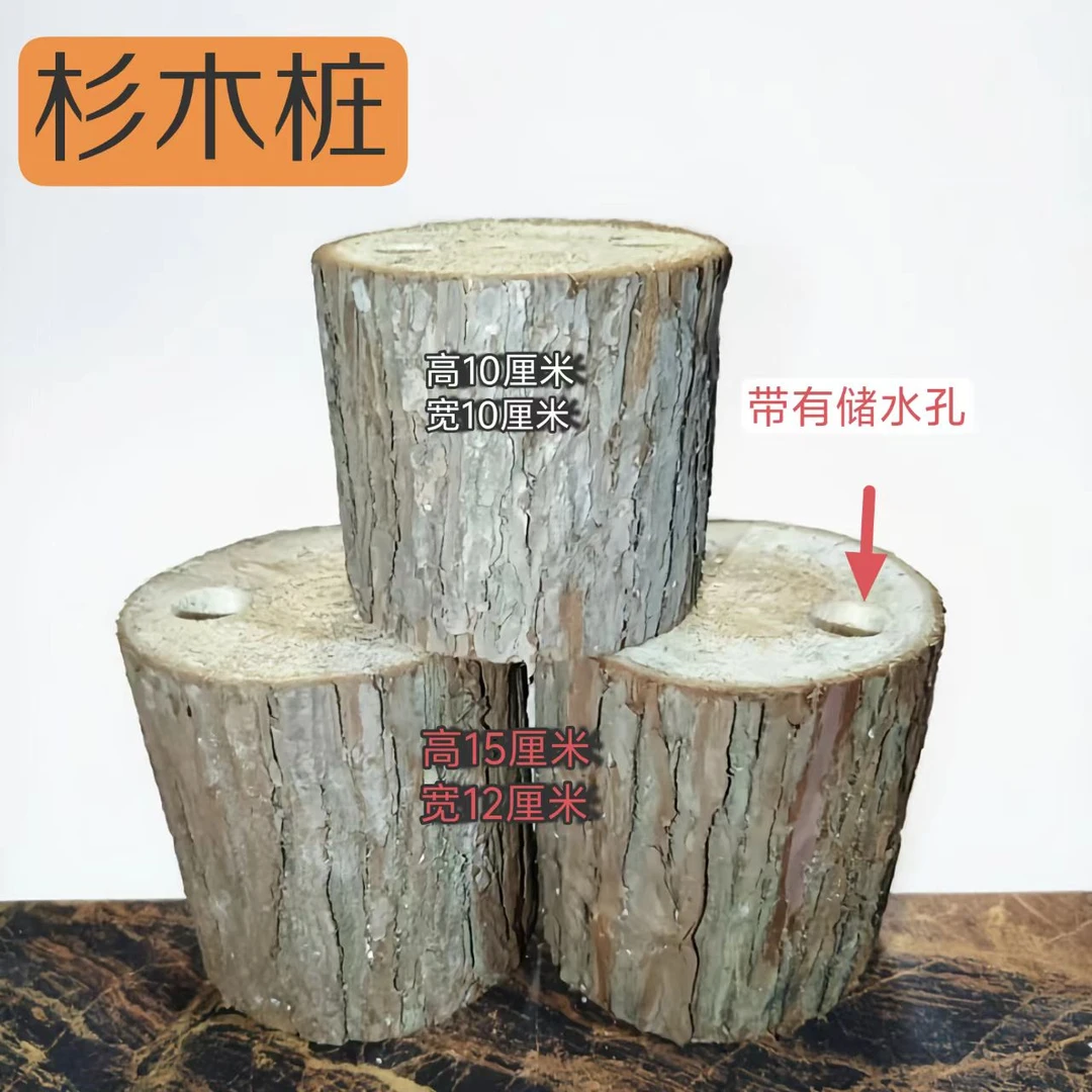 杉木桩（个性石斛兰种植桩，仿原生态种植）