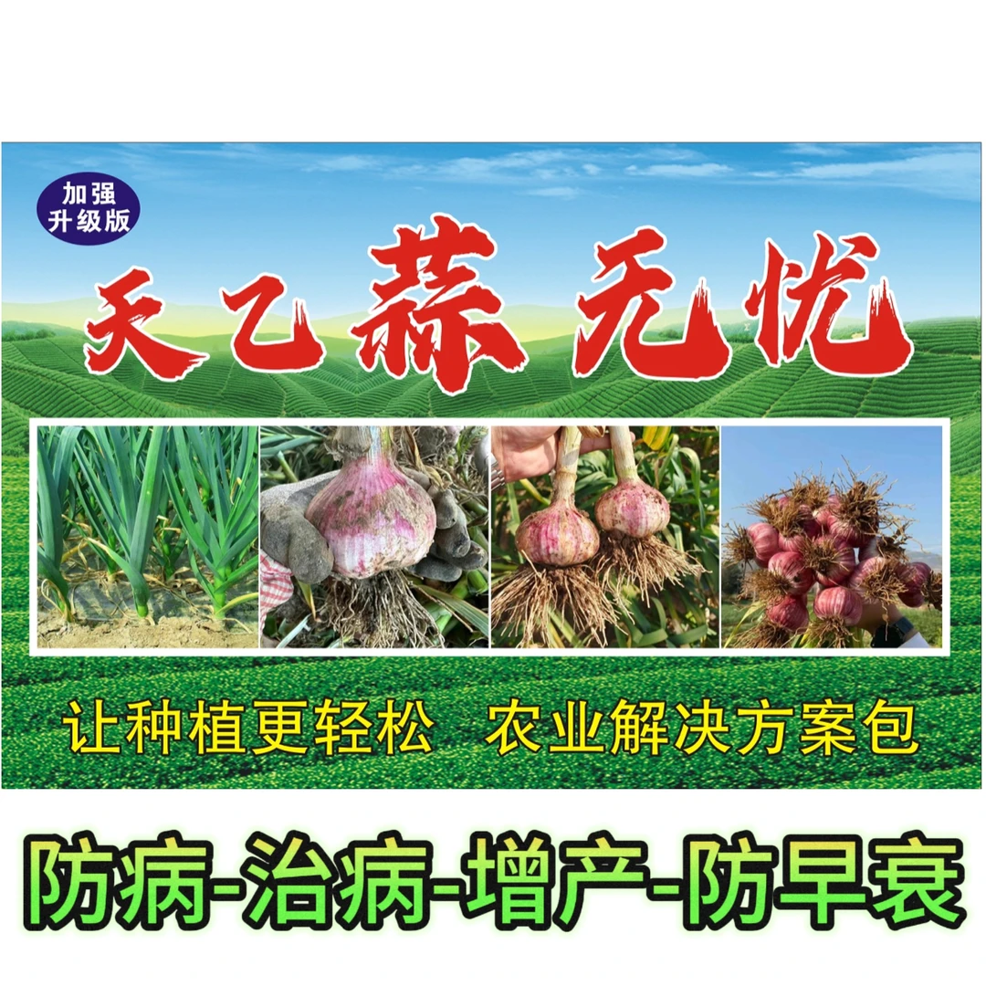 【蒜无忧】年后大蒜三遍进口加强版助剂防病治病增产防早衰