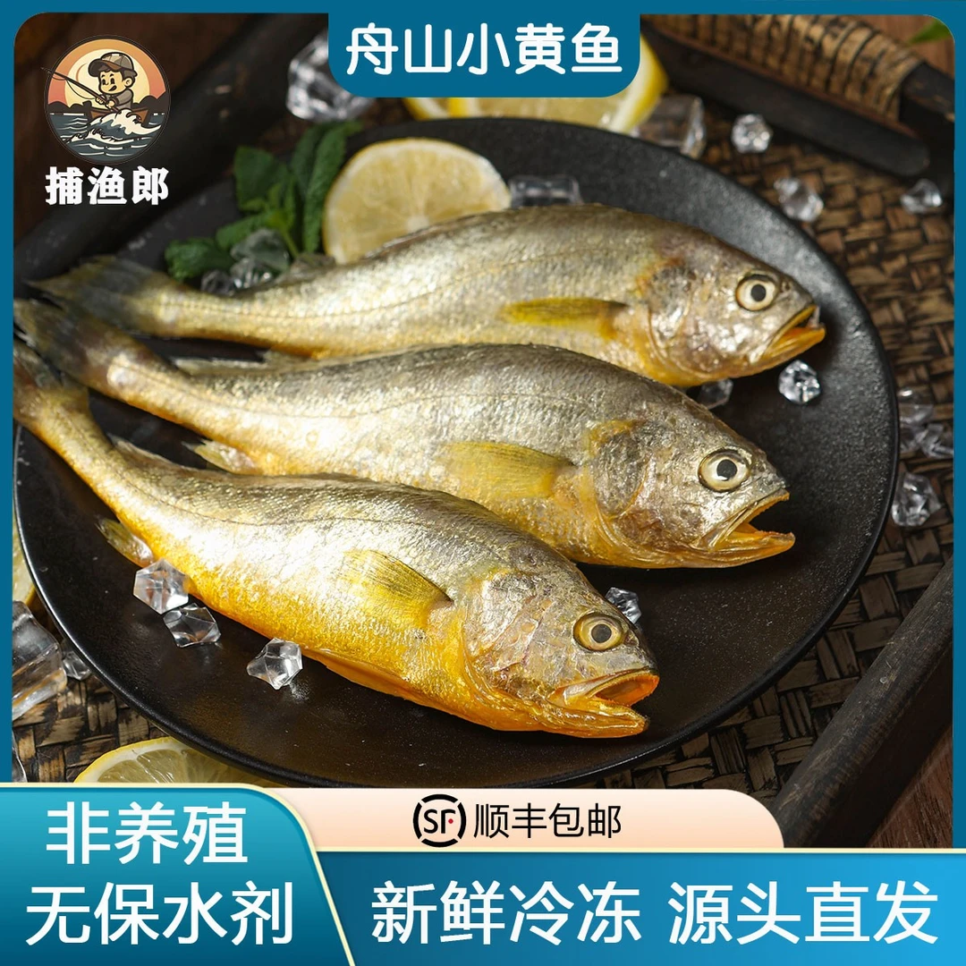 舟山小黄鱼新鲜冷冻非养殖黄花鱼深海捕捞冷链送