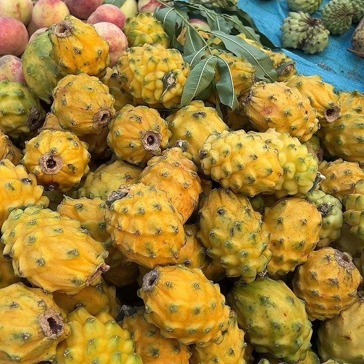 中国大陆燕窝果5斤