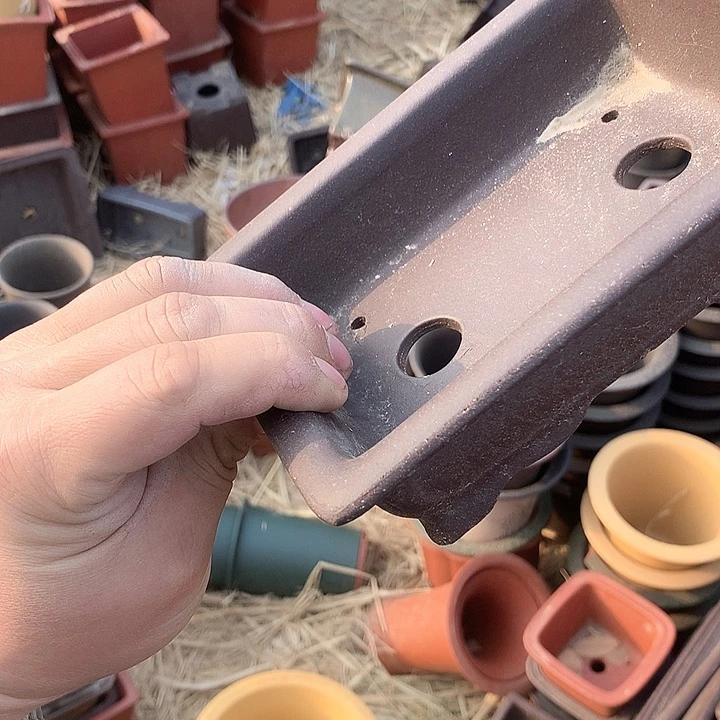 紫砂我们要去学习生活