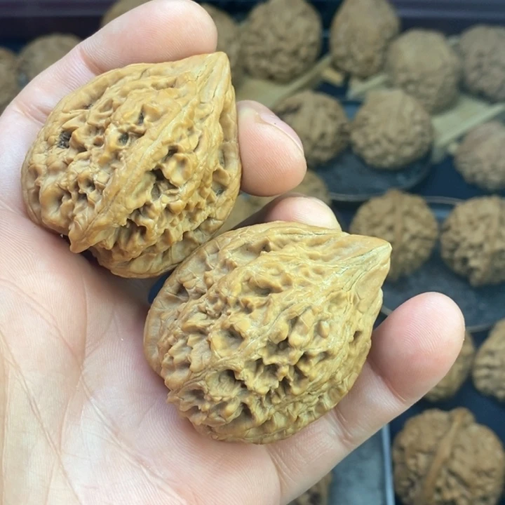 吊坠文玩核桃大沽石