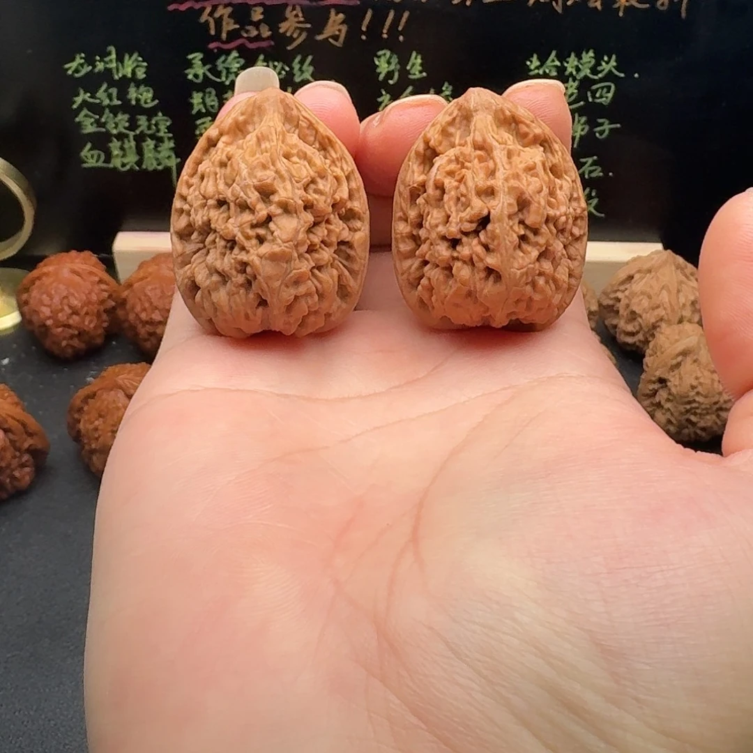 33小众蚂蚁王文玩核桃