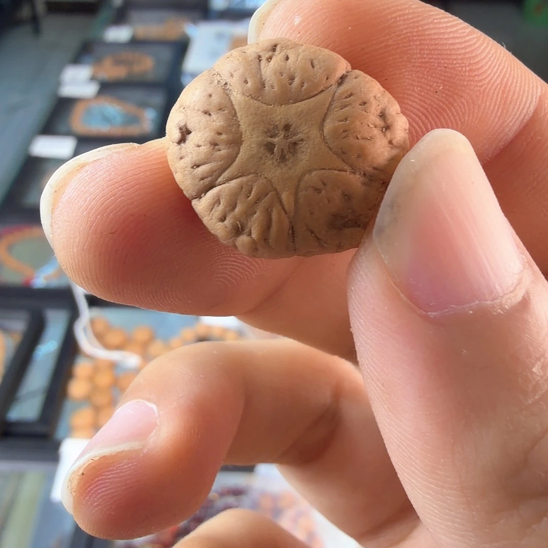 凤眼菩提吊坠3474三通