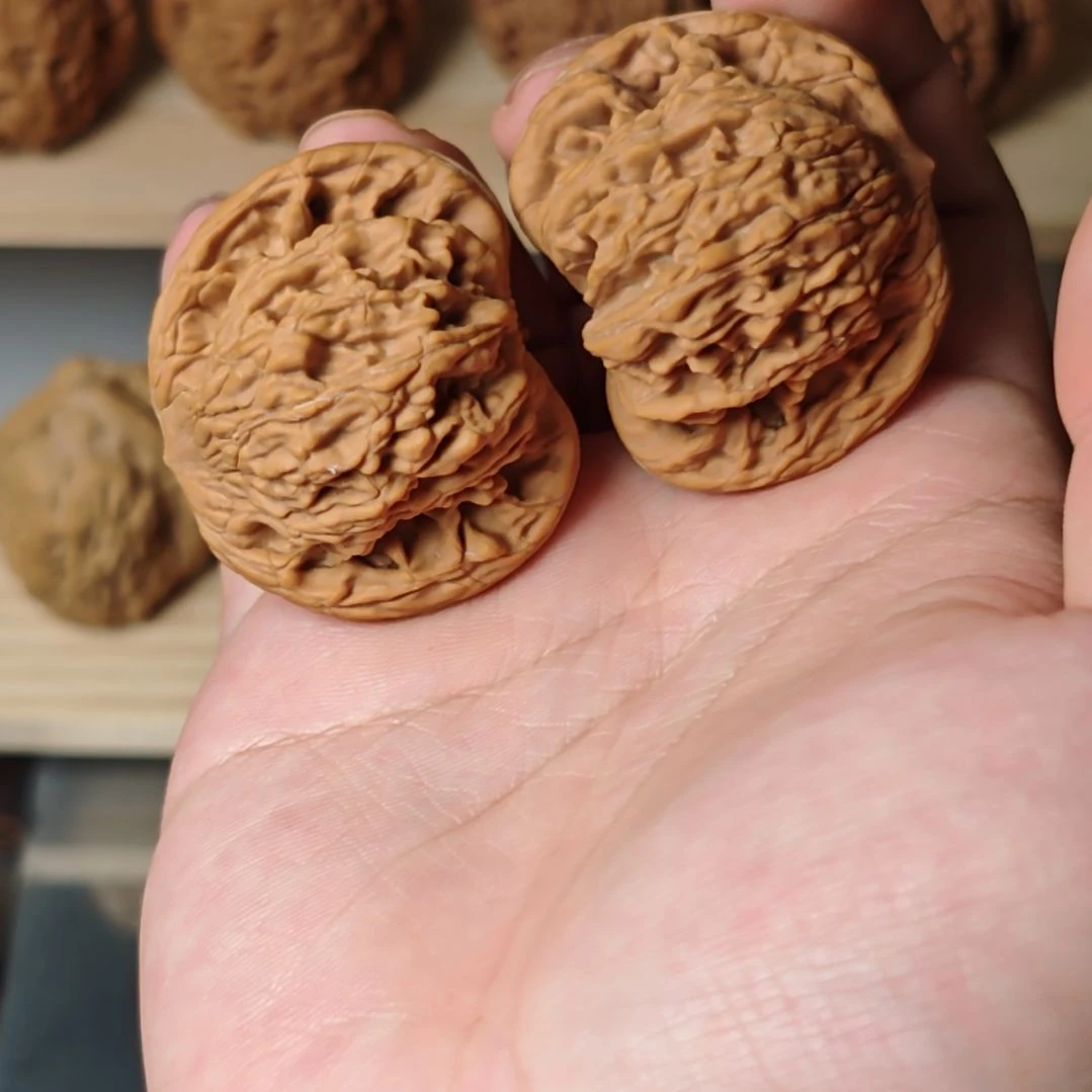 狮虎兽43+嘎嘎板正嘎嘎