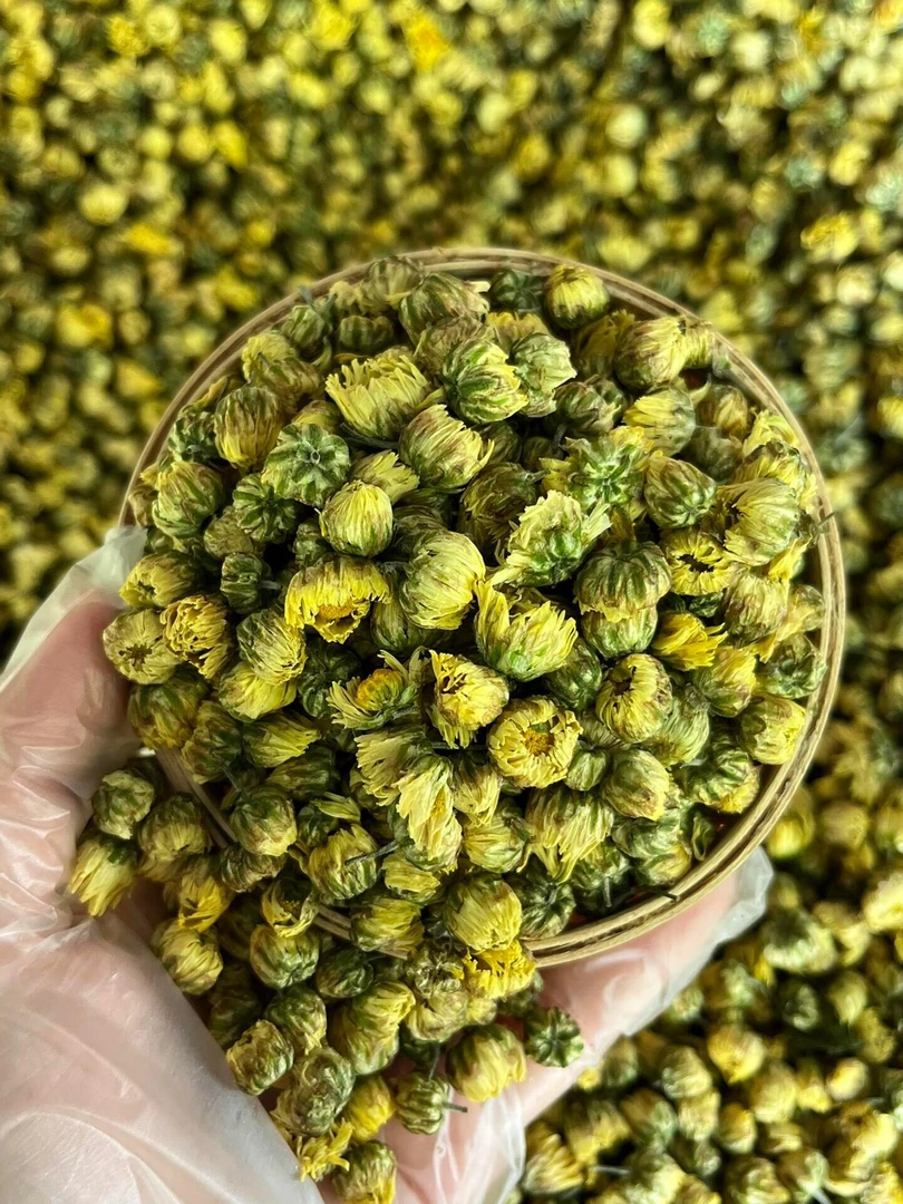 【桐乡胎菊】新花正宗桐乡胎菊菊花茶  5