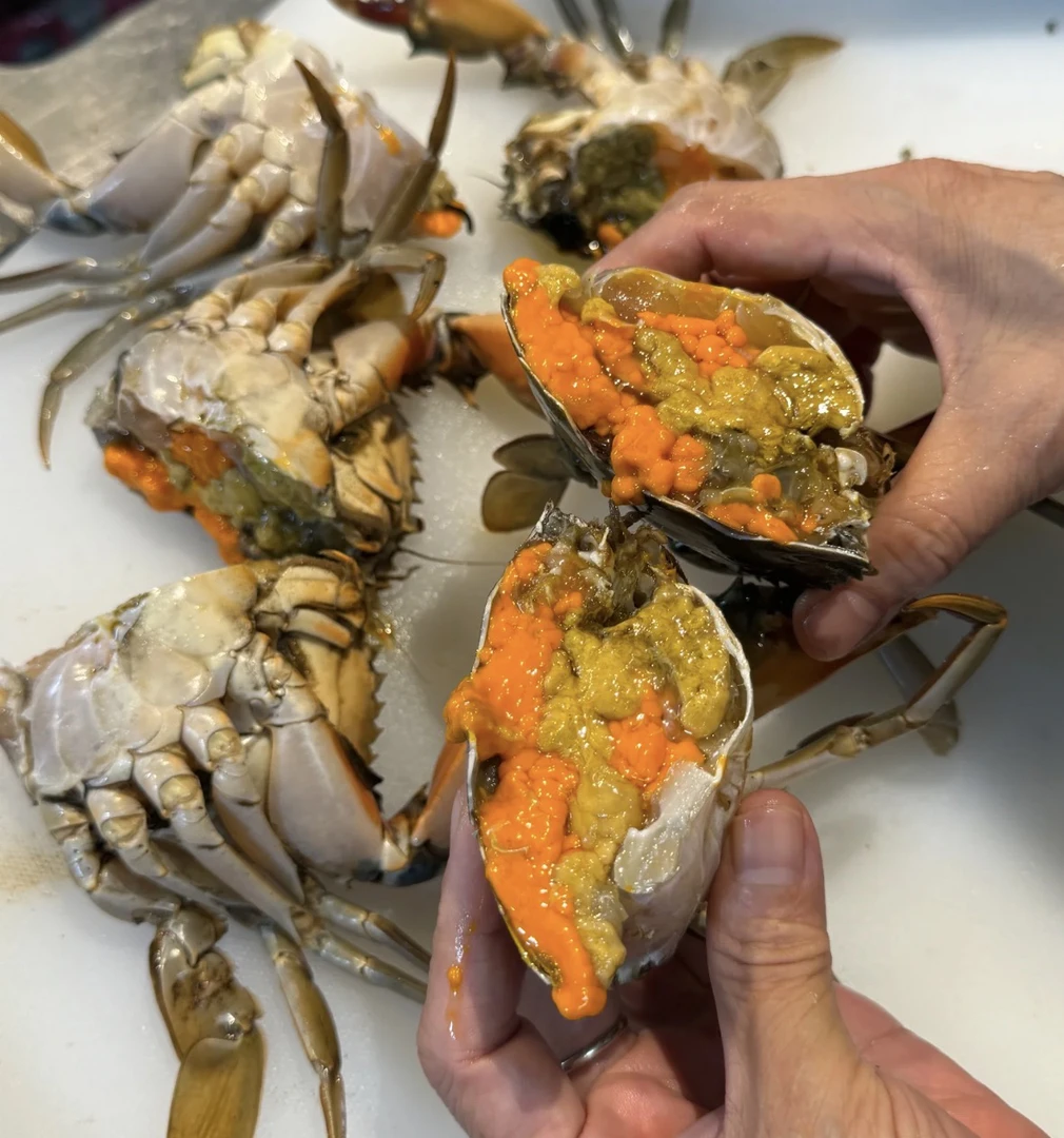 特大红鲟鲜活红膏蟹单只/5-6两常温保存勿放冰箱，保活带签收视频