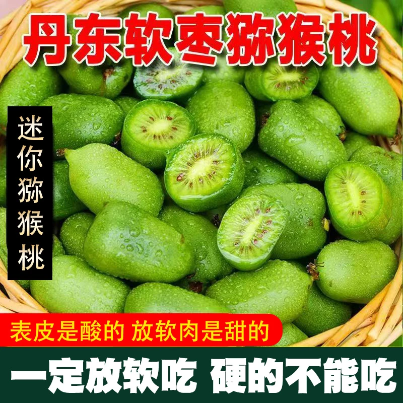 【务必放软吃】东北软枣猕猴桃奇异莓Vc小巨人【中大果一斤22-30个】Q