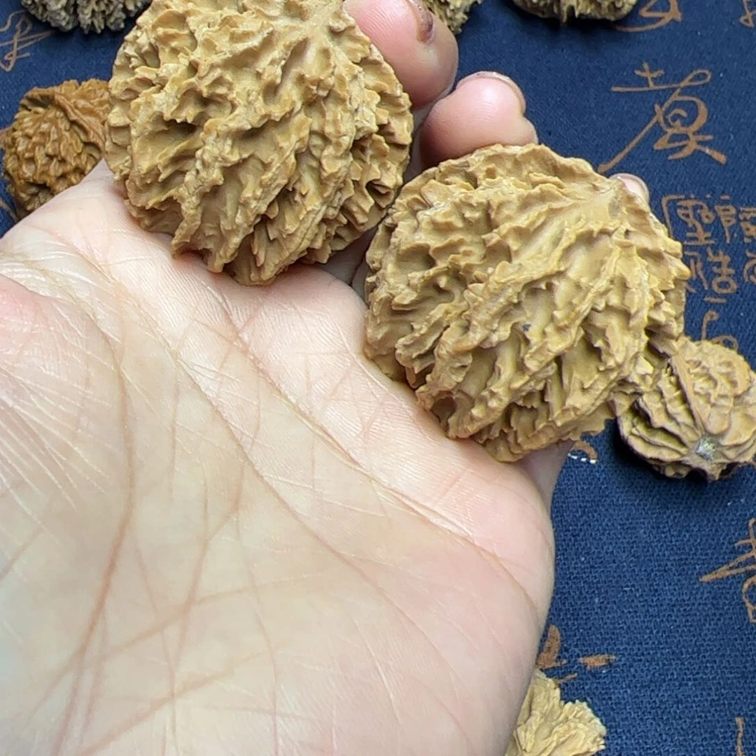 文玩核桃把件秦岭野生植物核桃