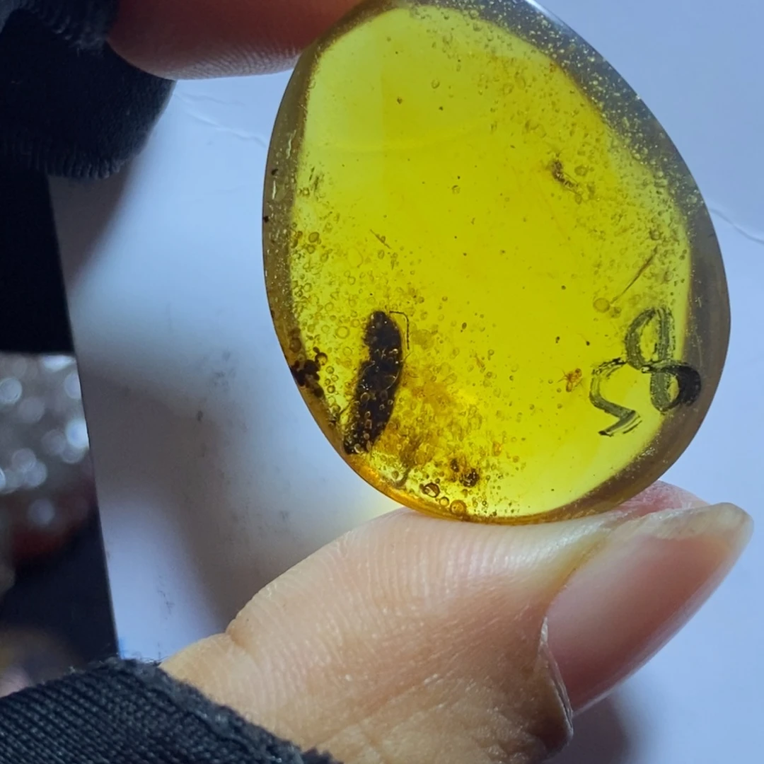 琥珀未镶嵌裸石虫珀