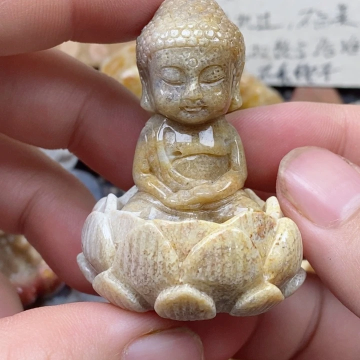 颈饰未镶嵌硅化珊瑚（珊瑚玉）有瑕