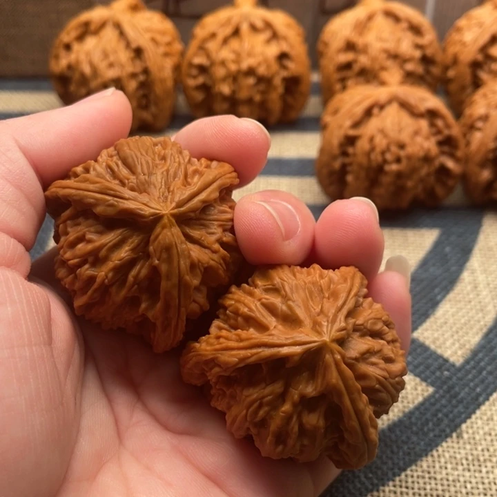 风***遥石楠木白狮子40核桃