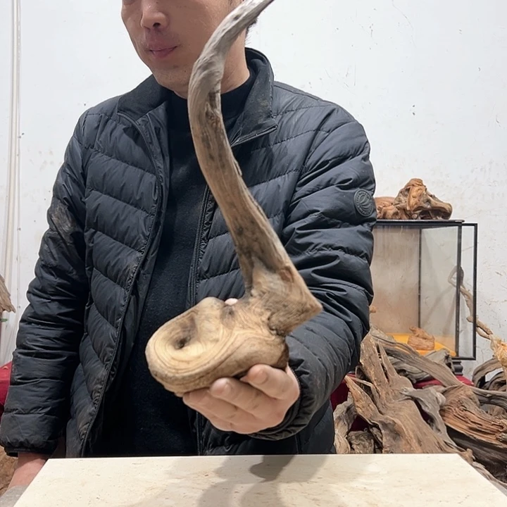 柏木道****5我们的生活也是