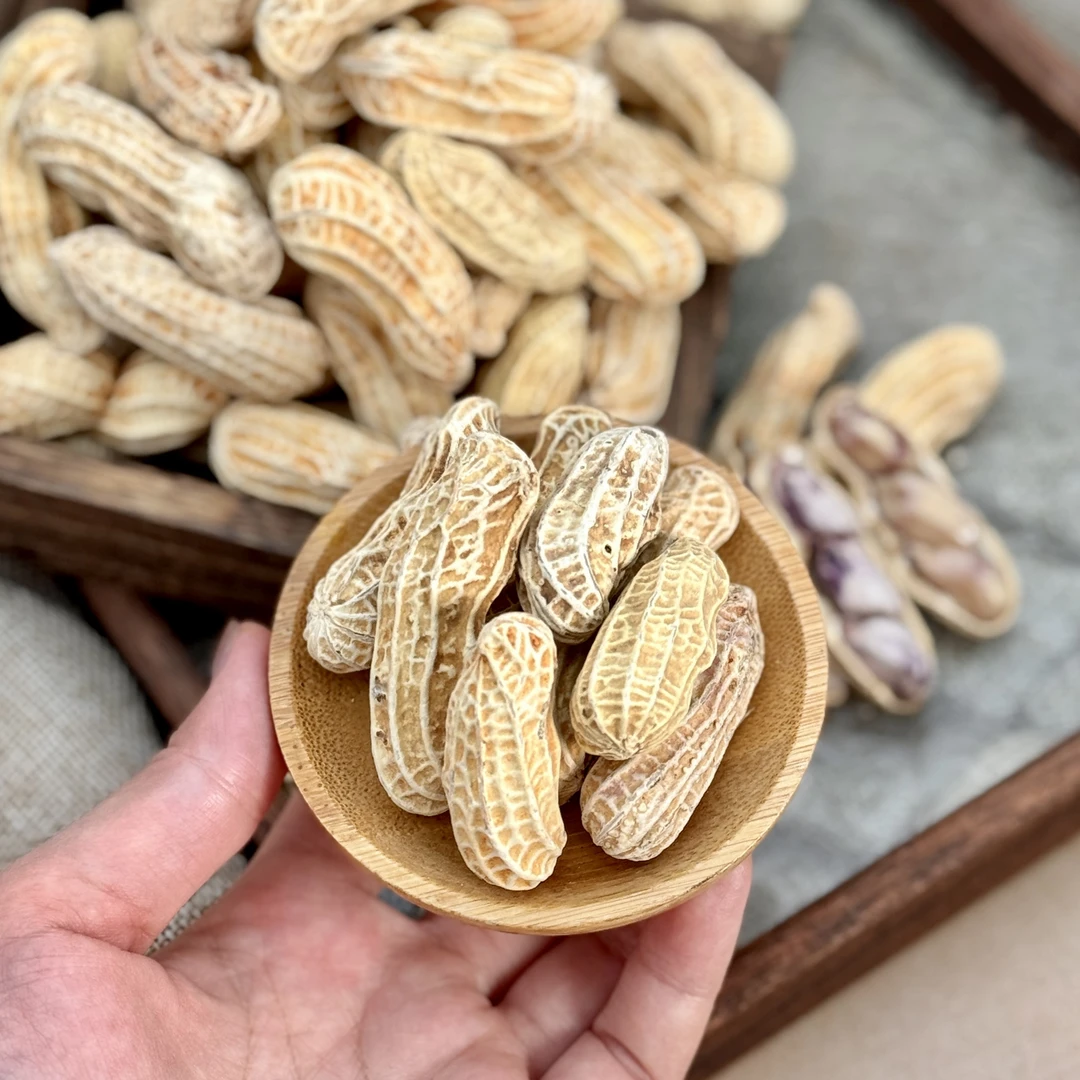 【阿强】农家紫彩花生