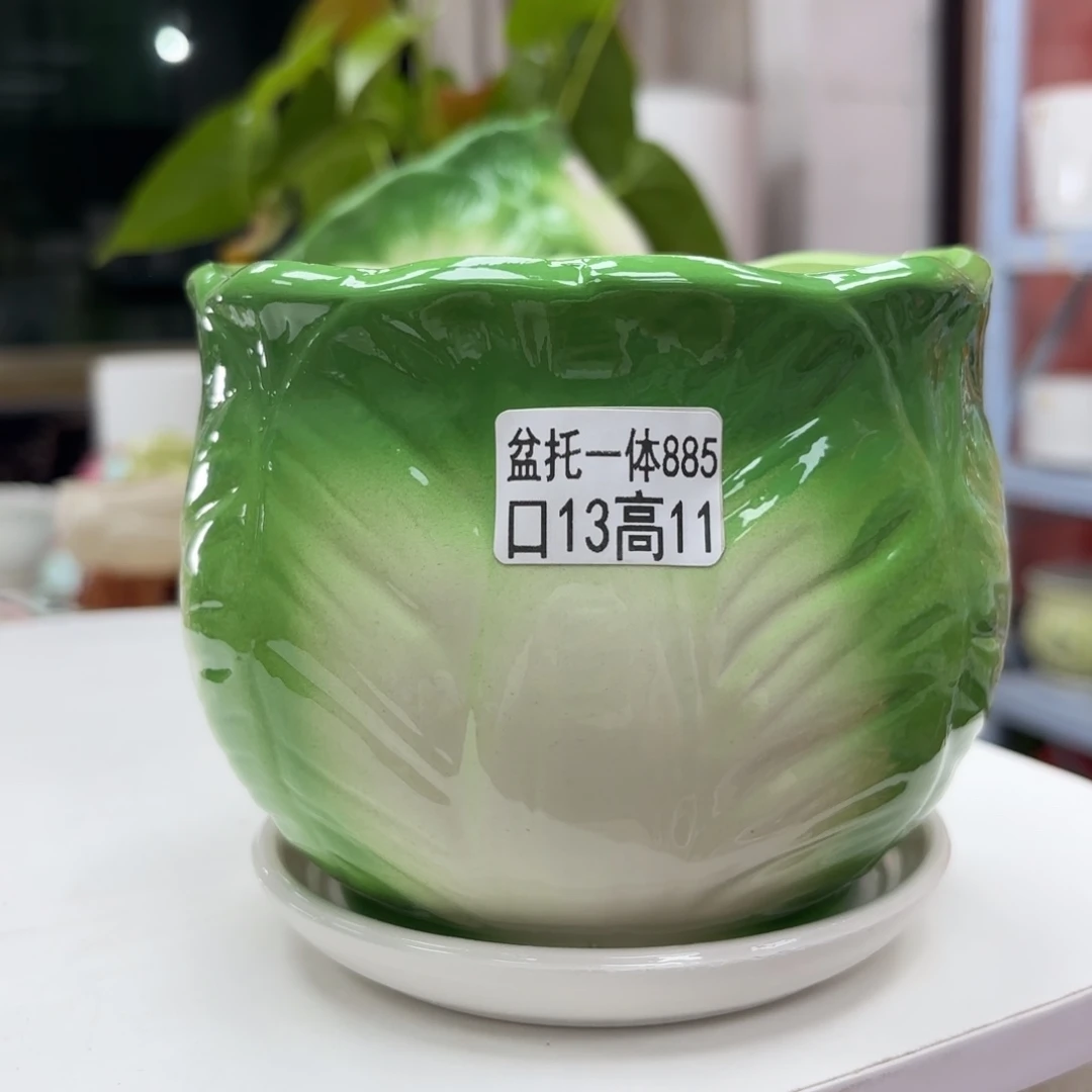 @夏西陶瓷花盆@@5885
