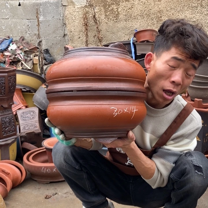 红陶在一起的时候就像是