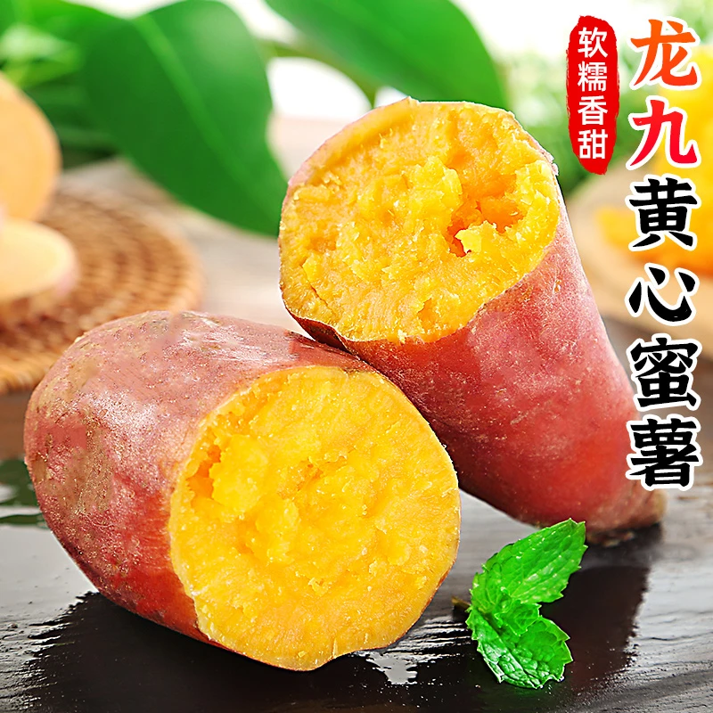 【软糯香甜】龙九黄心蜜薯3-9斤现挖番薯沙地薯红薯板栗薯新鲜蔬菜