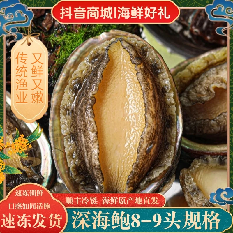 【丰鲍】8-9头鲍鱼6cm左右 东山岛深海冷链速冻鲍鱼2