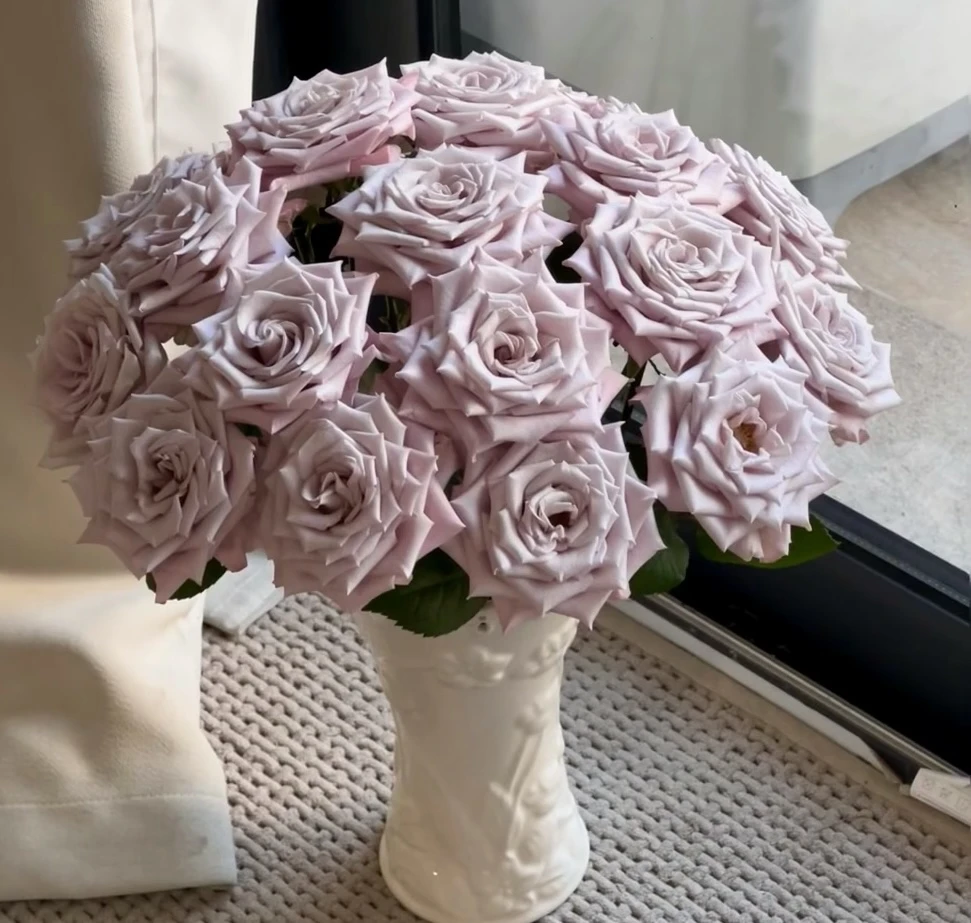 40支曼塔玫瑰高级莫兰迪色花束（乌梅子酱喷色原花材）昆明斗南发货