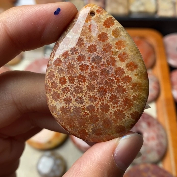 硅化玉颈饰未镶嵌名***要