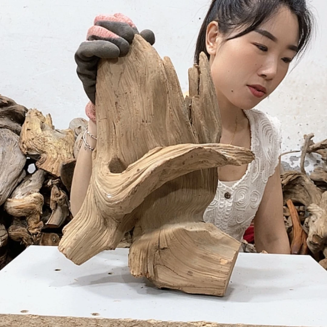 【闪购商品】柏木小*我们都是好孩子