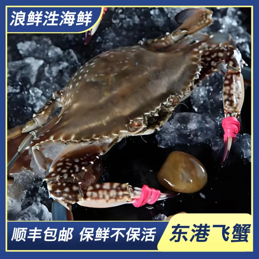 【保鲜不保活】东港公飞蟹  一斤3到5只 2-3两 随机装