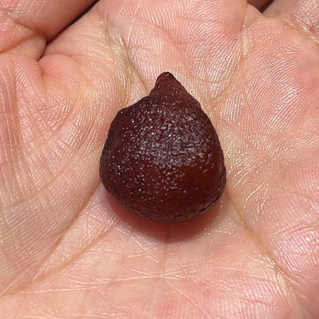 琥珀未镶嵌颈饰海飘