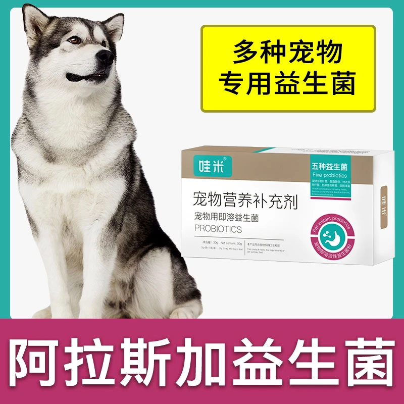 阿拉斯加专用益生菌粉成幼犬用狗狗宠物即溶肠胃宝肠道消化宝